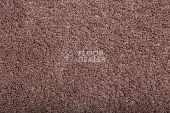 Ковролин Condor Amazing 11 фото 1 | FLOORDEALER